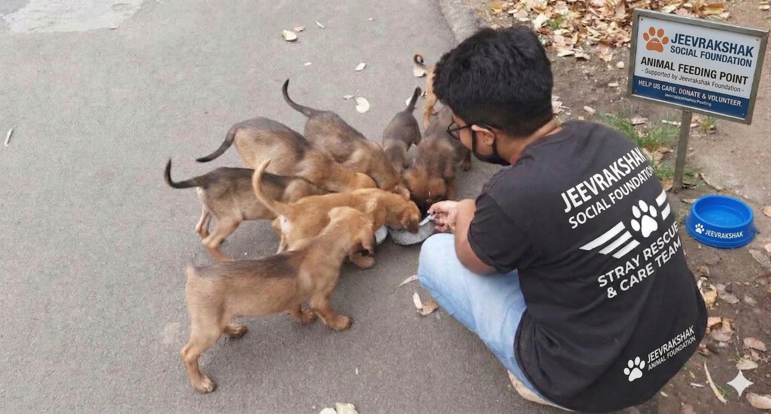 Feeding