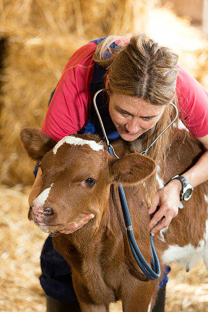 Vet care
